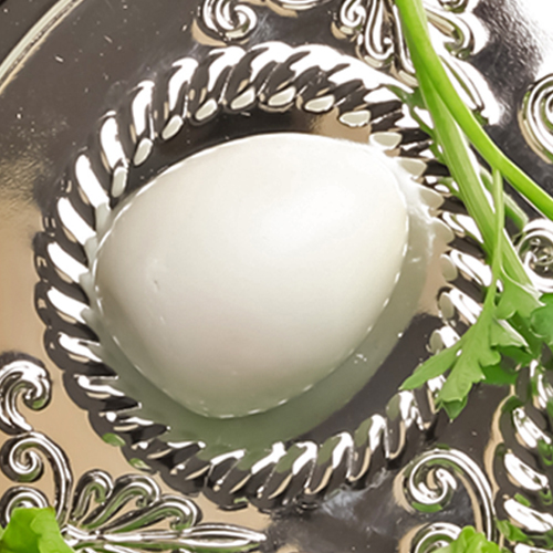 Beitzah on the Seder plate