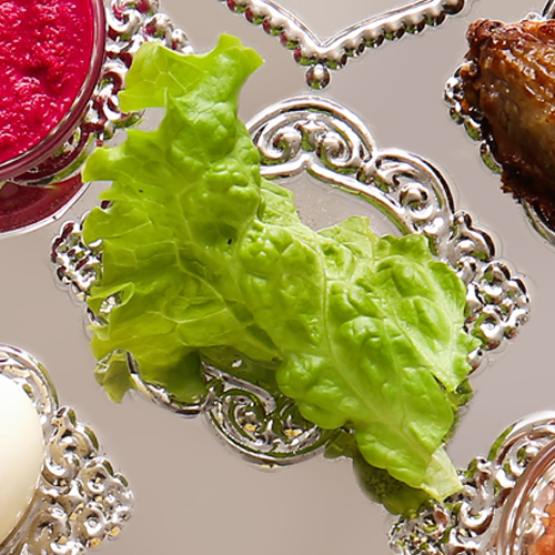 chazeret on the seder plate