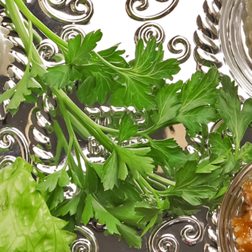 Karpas on the Seder plate