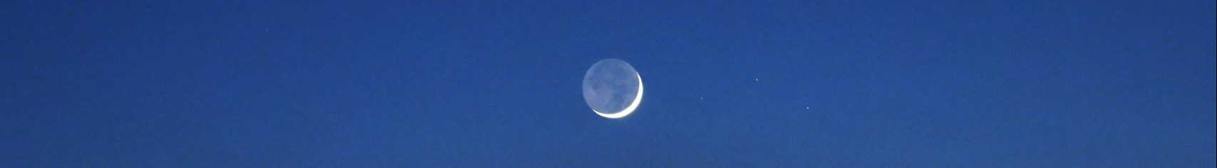 pexels-serena-koi-6815409