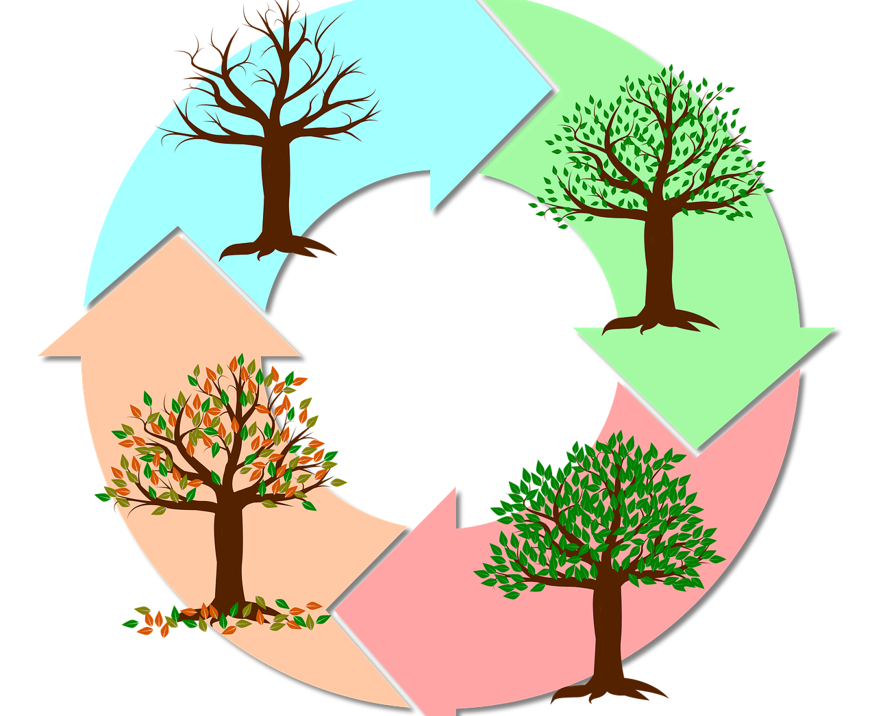 seasons-g55b85ee81_1280