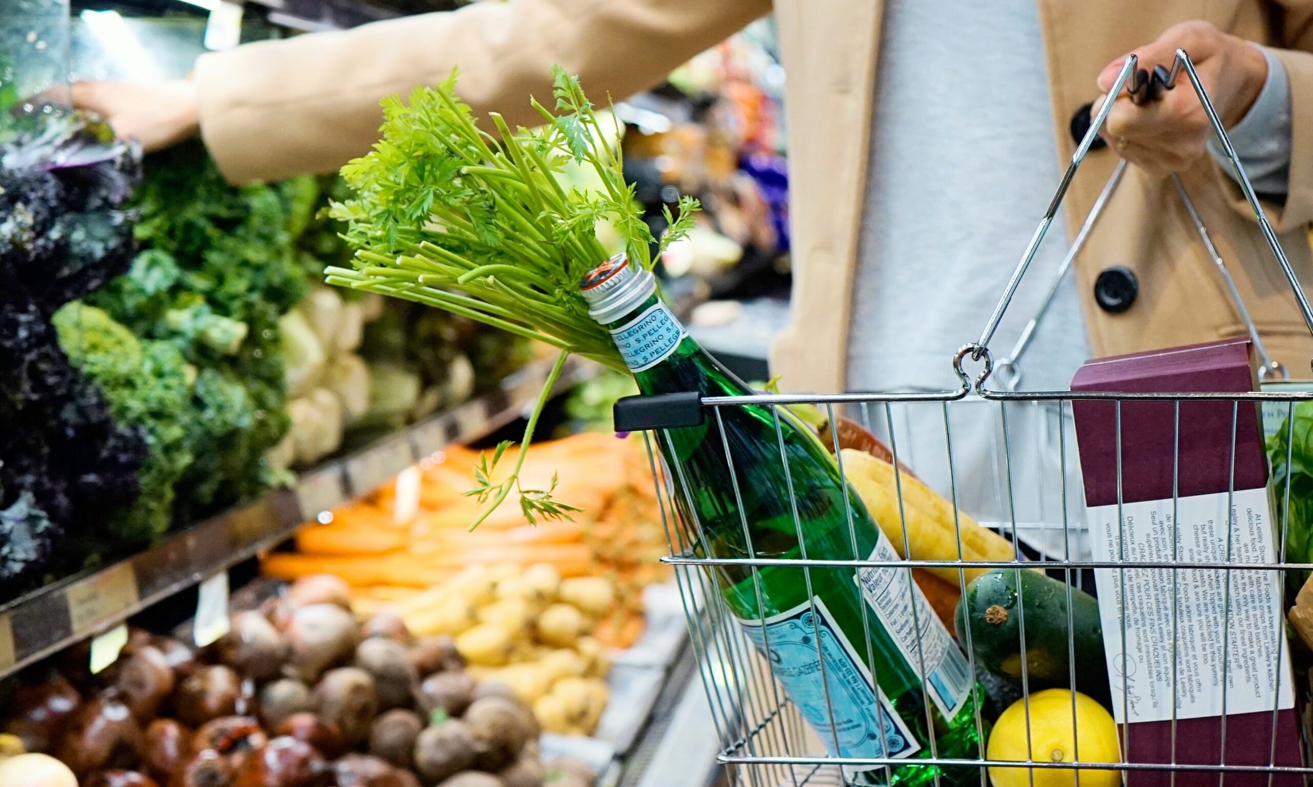 tara-clark-Gk8LG7dsHWA-unsplash