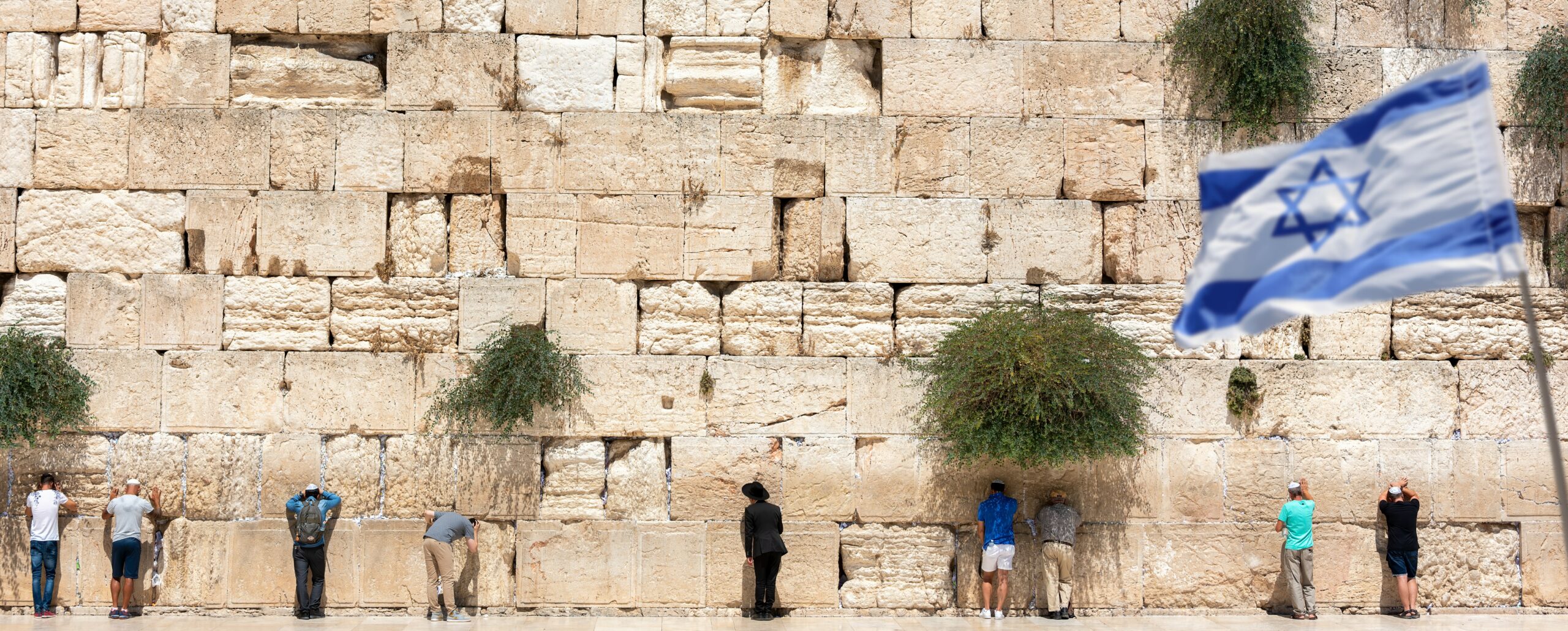 AdobeStock_455711933