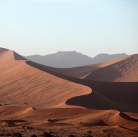 Jewish people wondered through the desert for 40 years