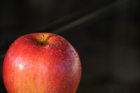 apple rosh hashanah