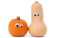 butternut squash and pumpkin