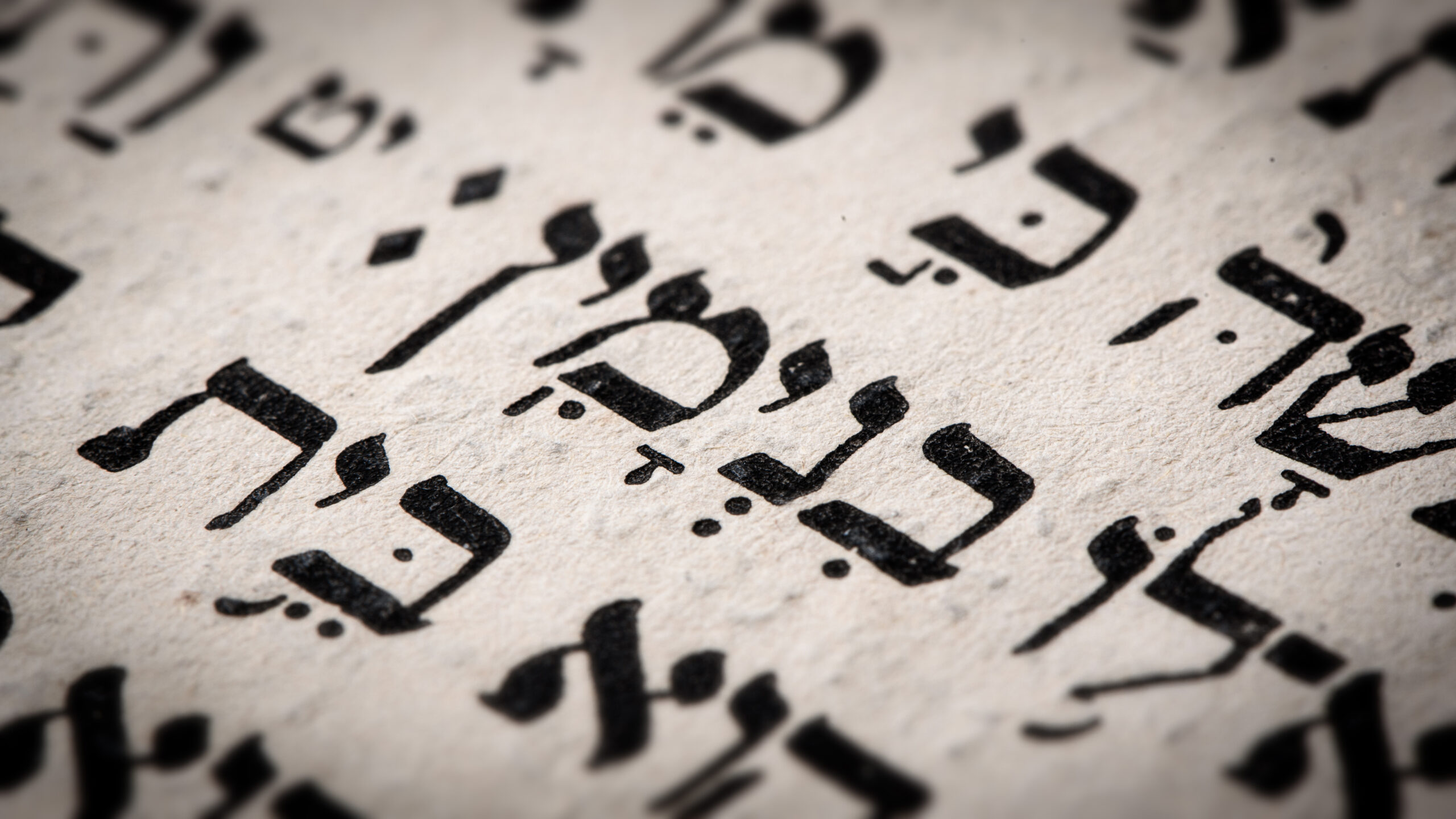 Torah text