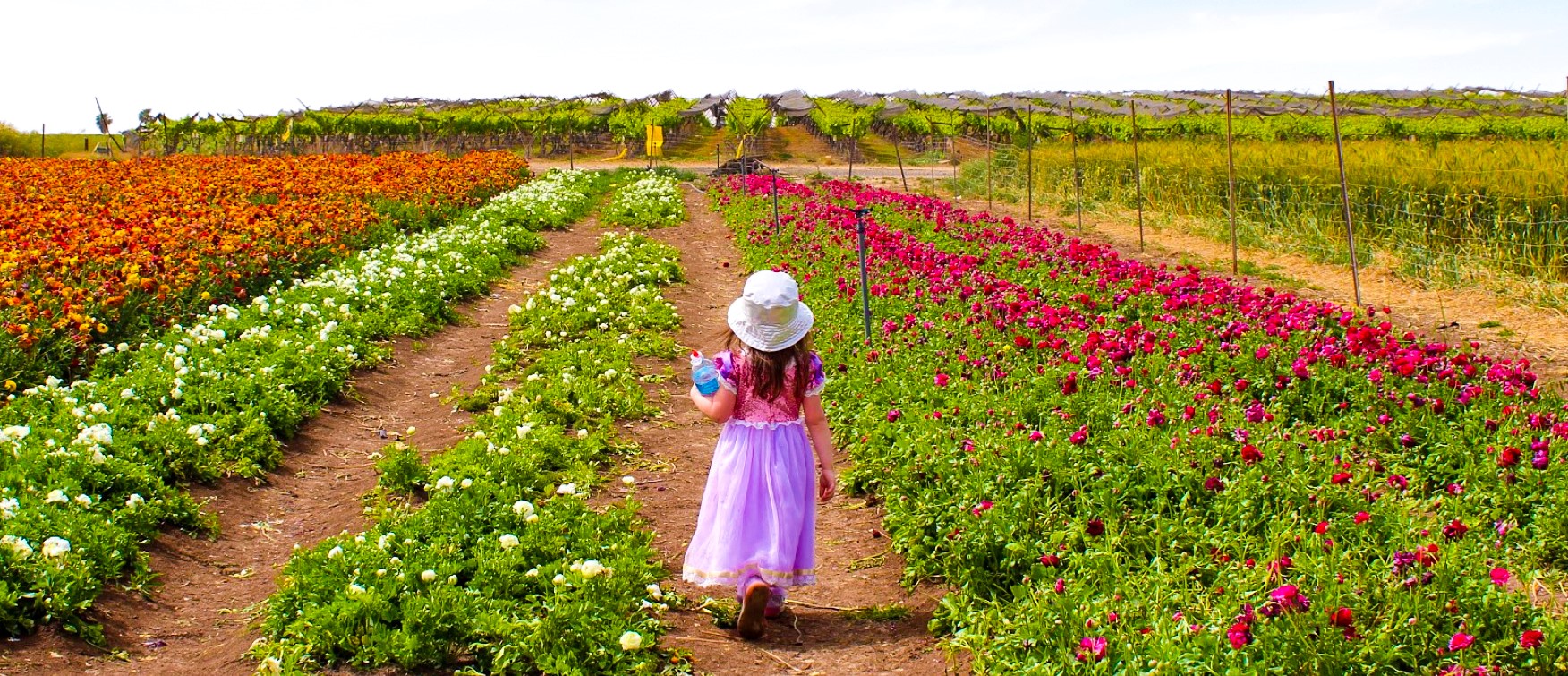 338184532_6211562092220209_6347477845527979177_n