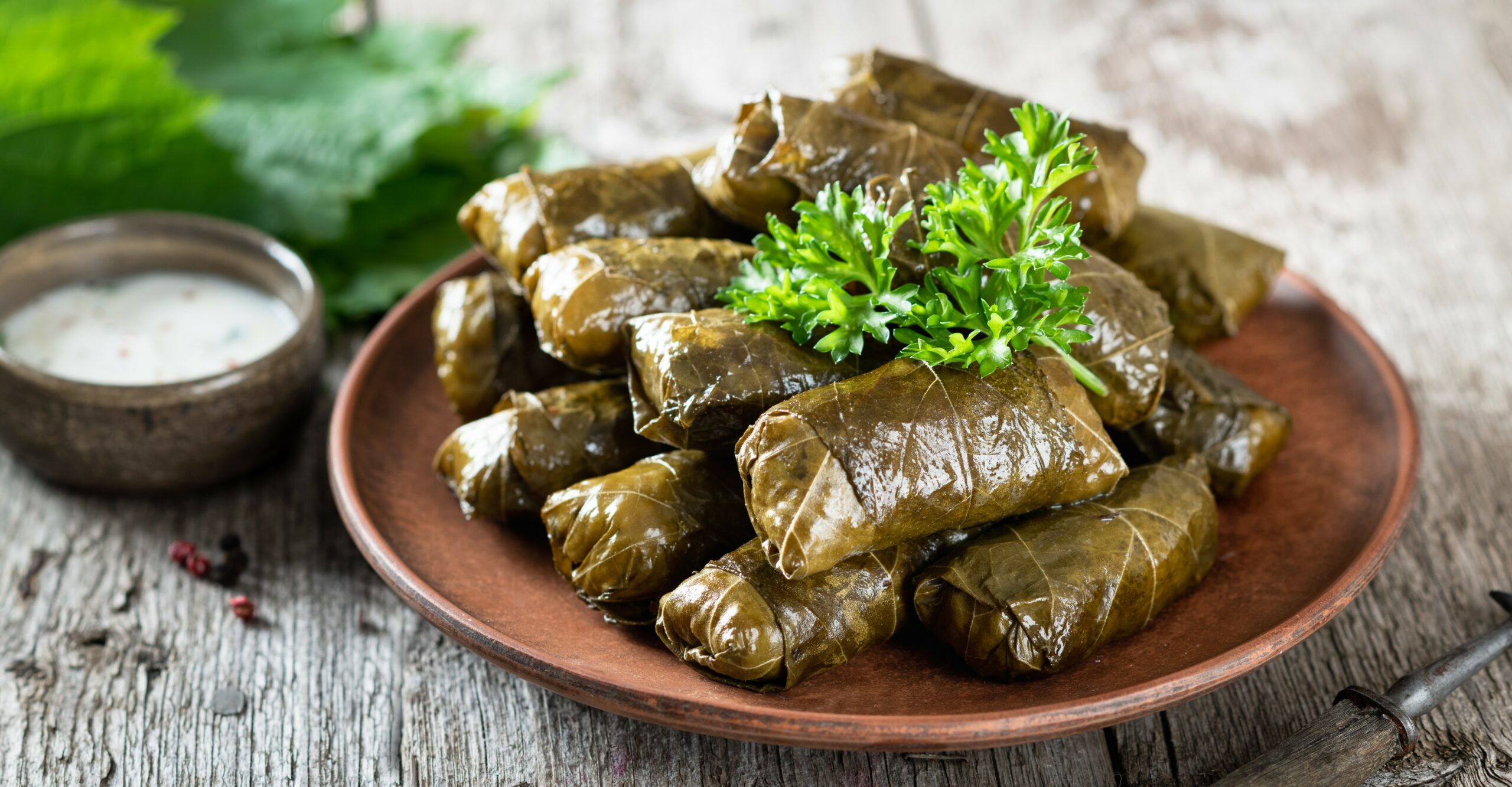Dolma with sauce