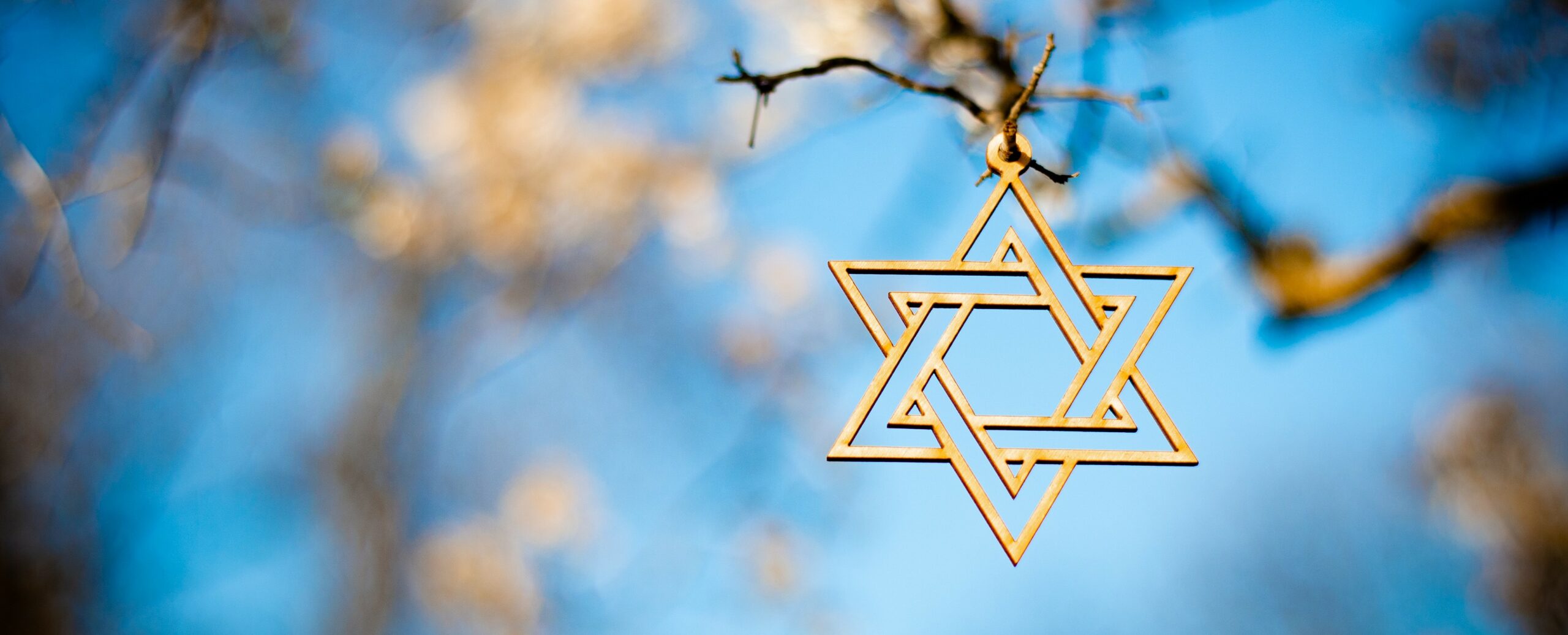 david-holifield-TLZKlOBOsLs-unsplash