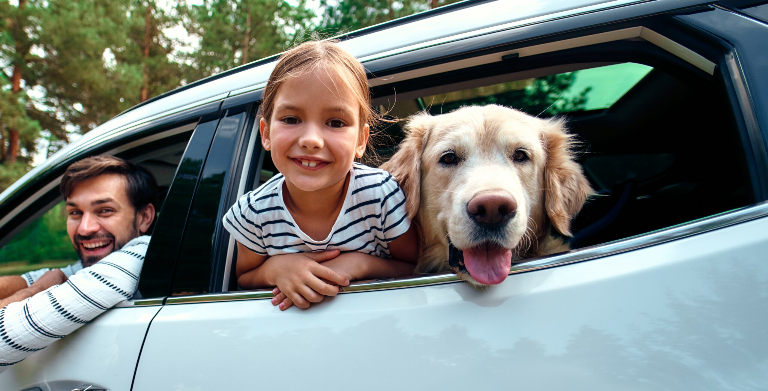 AdobeStock_460604387