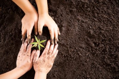 child-hands-holding-caring-young-green-plant_1150-12738