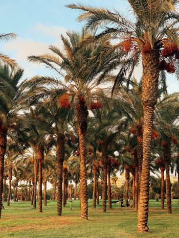 so-very-ged0idQLsJg-unsplash-1536x2048